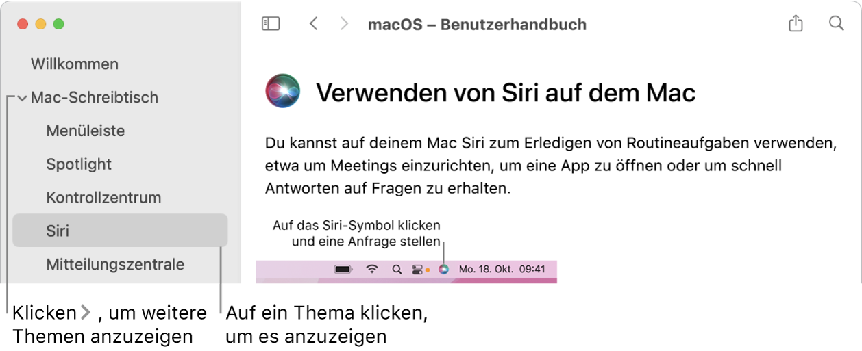 Help Viewer mit Informationen zum Auflisten von Themen in der Seitenleiste und Anzeigen des Inhalts eines Themas.