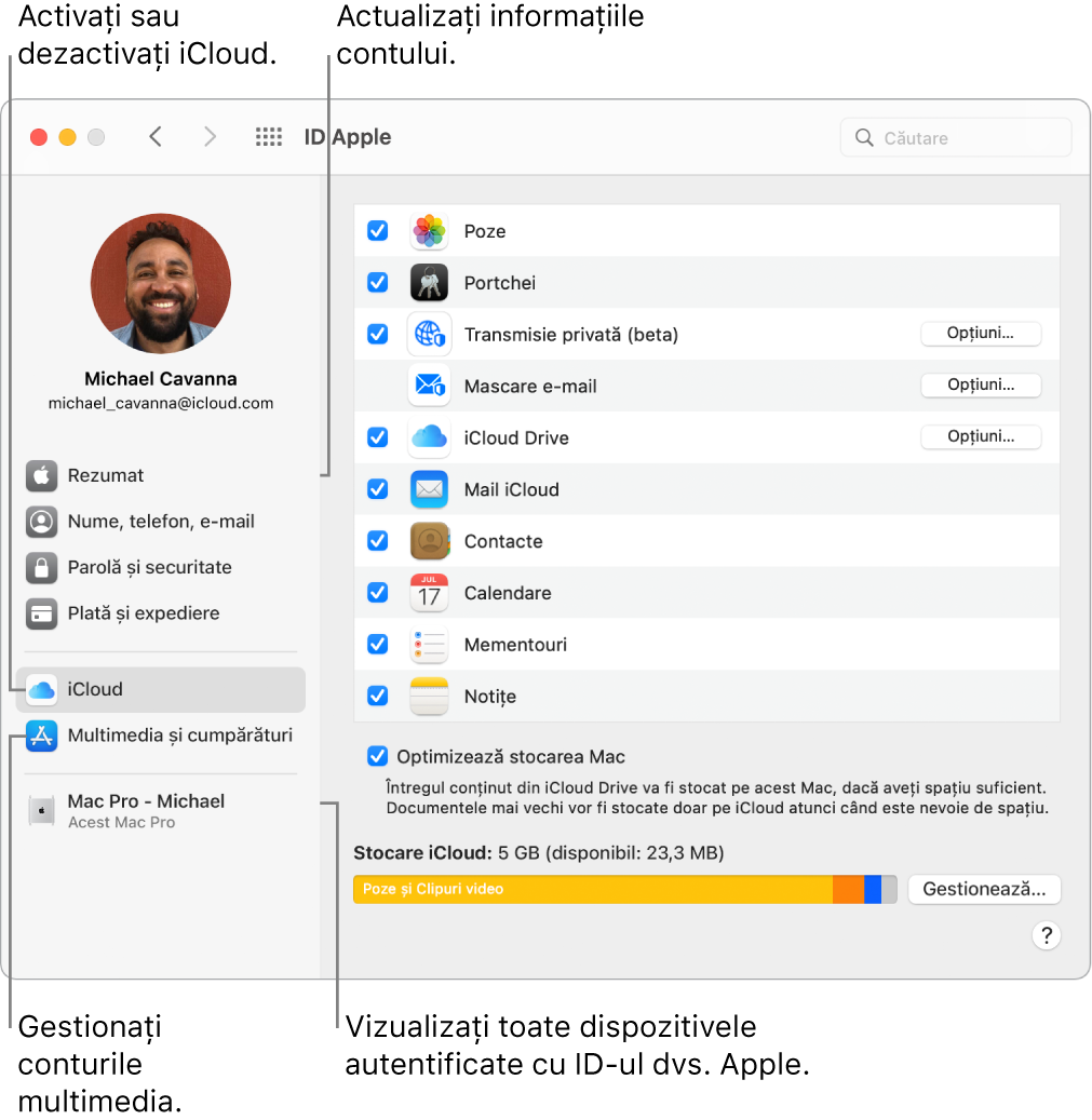 Panoul ID Apple din Preferințe sistem. Faceți clic pe un articol din bara laterală pentru a actualiza informațiile contului dvs., activați sau dezactivați iCloud, gestionați conturile multimedia și vizualizați toate dispozitivele pe care v-ați autentificat cu ID-ul Apple.