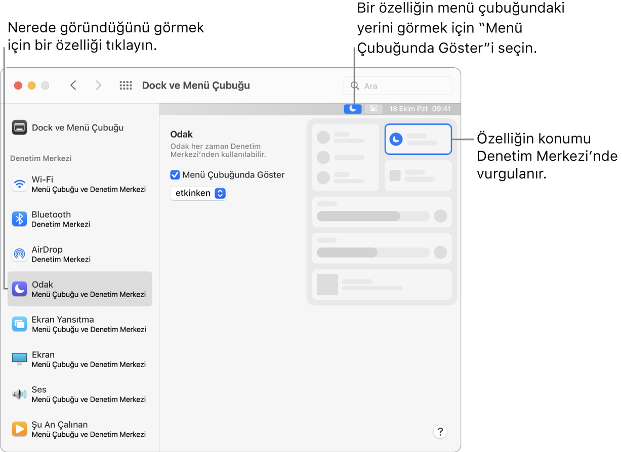 Dock ve Menü Çubuğu tercihleri penceresi.