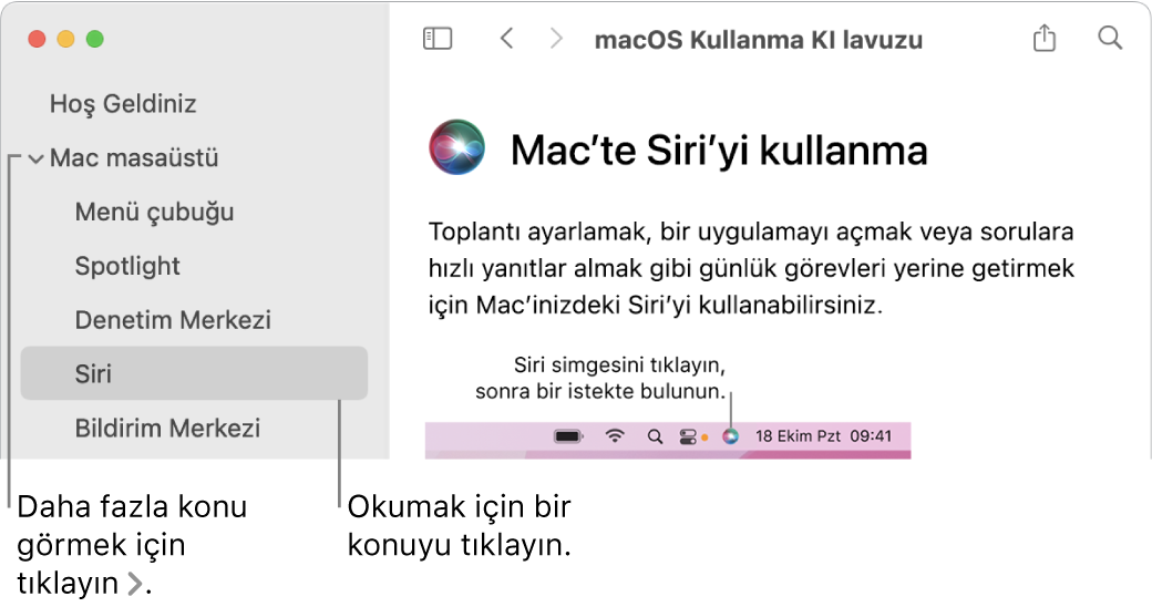 Yardım Görüntüleyici, kenar çubuğunda listelenen konuların gösterilmesini ve bir konunun içeriğinin görüntülenmesini gösteriyor.