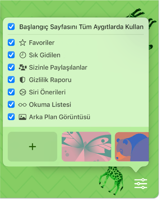 Favoriler, Sık Ziyaret Edilen, Gizlilik Raporu, Siri Önerileri, Okuma Listesi ve Arka Plan Görüntüsü onay kutularıyla Safari’yi Özelleştir açılır menüsü.