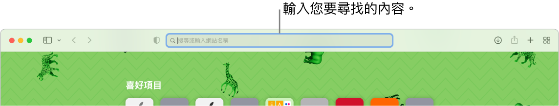 經過裁切的 Safari 視窗，顯示視窗最上方的搜尋欄位。