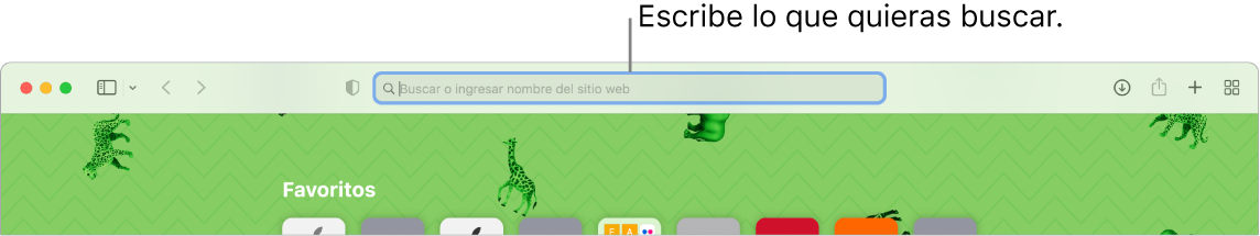 Una ventana de Safari recortada con el campo de búsqueda en la parte superior de la ventana.
