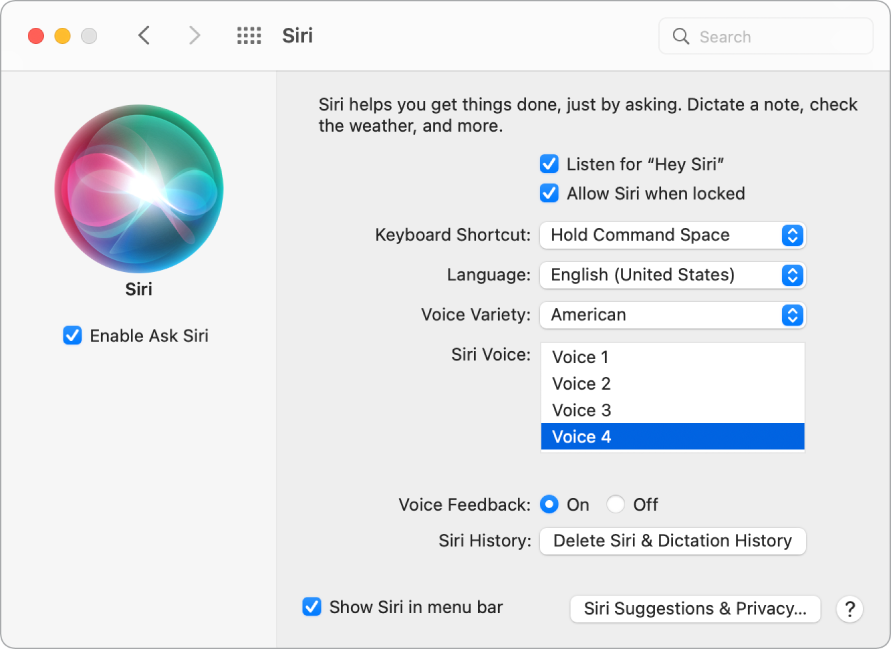 „Siri“ nuostatų langas, kairėje pažymėta parinktis „Enable Ask Siri“, dešinėje pateiktos kelios „Siri“ individualizavimo parinktys, įskaitant „Listen for ‘Hey Siri’“.