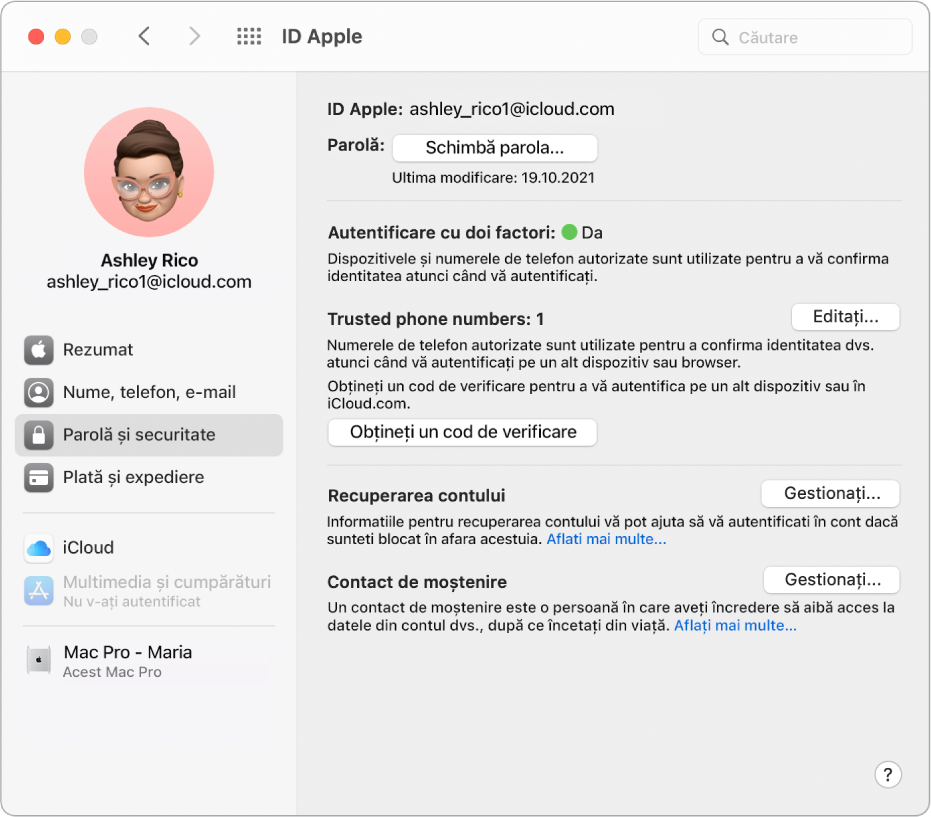 Secțiunea Parolă și securitate pentru ID-ului dvs. Apple în Preferințe sistem. Faceți clic pe Gestionați pentru a configura Recuperare cont.