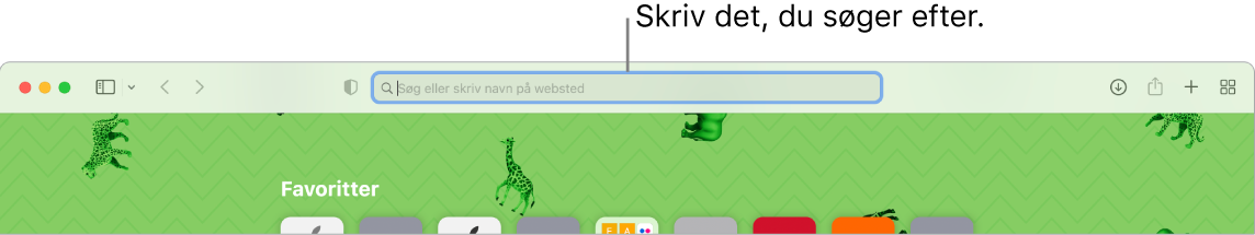 Et beskåret Safari-vindue med søgefeltet øverst i vinduet.