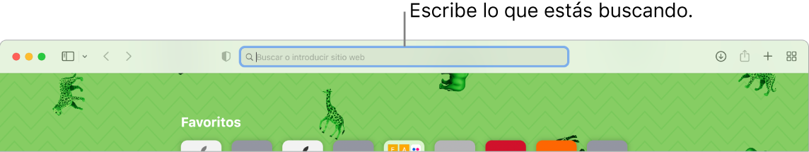 Una ventana de Safari recortada con el campo de búsqueda en la parte superior de la ventana.