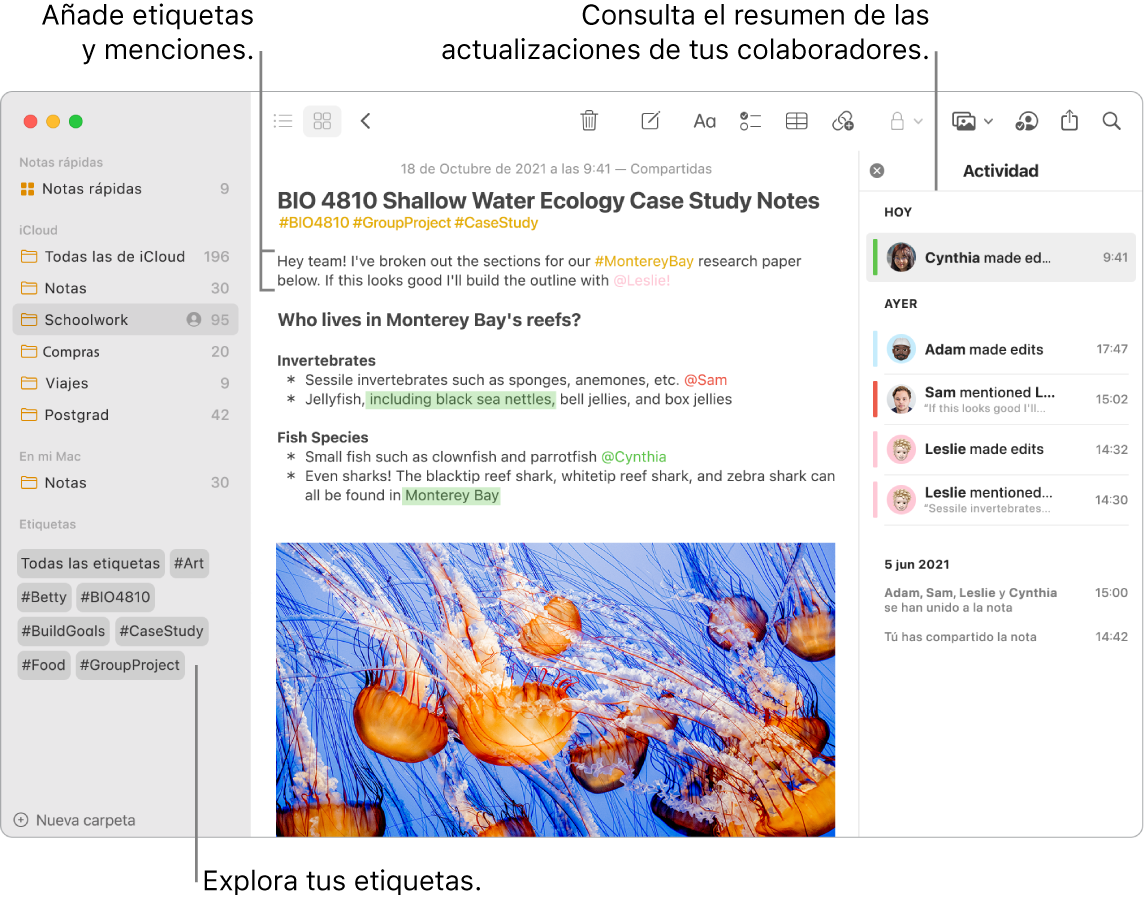 Una ventana de Notas en la vista como galería con etiquetas cerca de la parte inferior de la barra lateral. Cerca de la parte superior de la nota principal de la derecha, hay etiquetas y una mención. A la derecha hay una lista de actividades, que incluye un resumen de las actualizaciones.