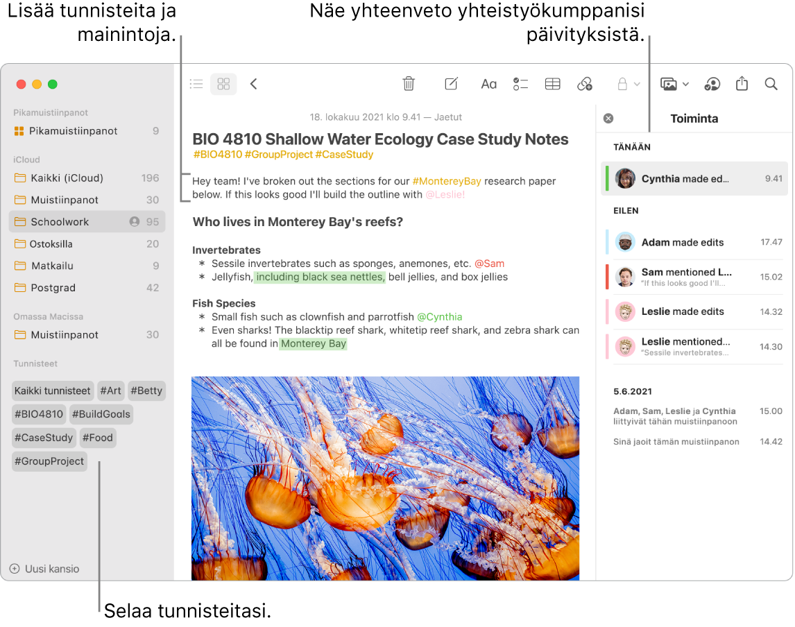 Muistiinpanot-ikkuna gallerianäkymässä ja tunnisteet lähellä sivupalkin alaosaa. Päämuistiinpanon yläosan lähellä oikealla on tunnisteita ja maininta. Oikealla on toimintaluettelo ja päivitysten yhteenveto.