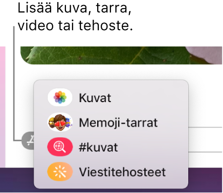 Apit-valikko, jossa on kuvien, Memoji-tarrojen, GIF-animaatioiden ja viestitehosteiden näyttämisen valinnat.