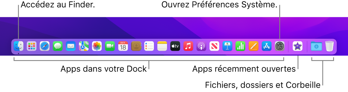 Le Dock affichant le Finder, les Préférences Système et le trait dans le Dock séparant les apps des fichiers et dossiers.