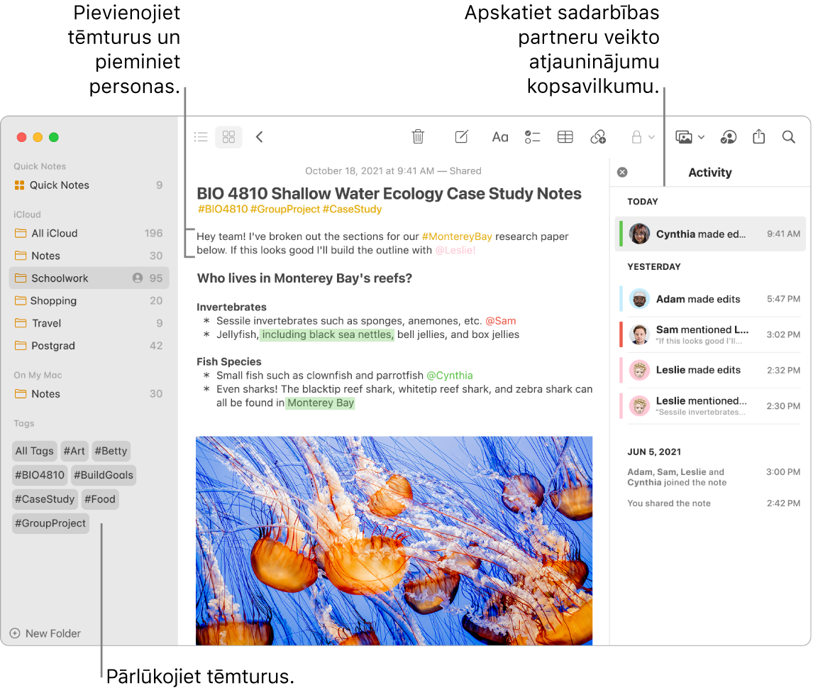 Lietotnes Notes logs skatā Gallery ar tēmturiem netālu no sānjoslas apakšdaļas. Netālu no galvenās piezīmes augšdaļas labajā pusē ir tēmturi un pieminējums. Pa labi ir darbību saraksts, tostarp atjauninājumu kopsavilkums.