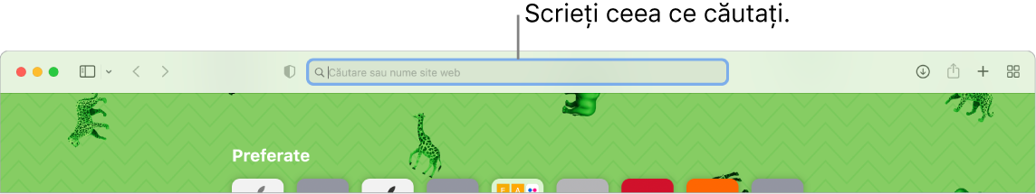 O fereastră Safari decupată, având câmpul de căutare în partea de sus a ferestrei.