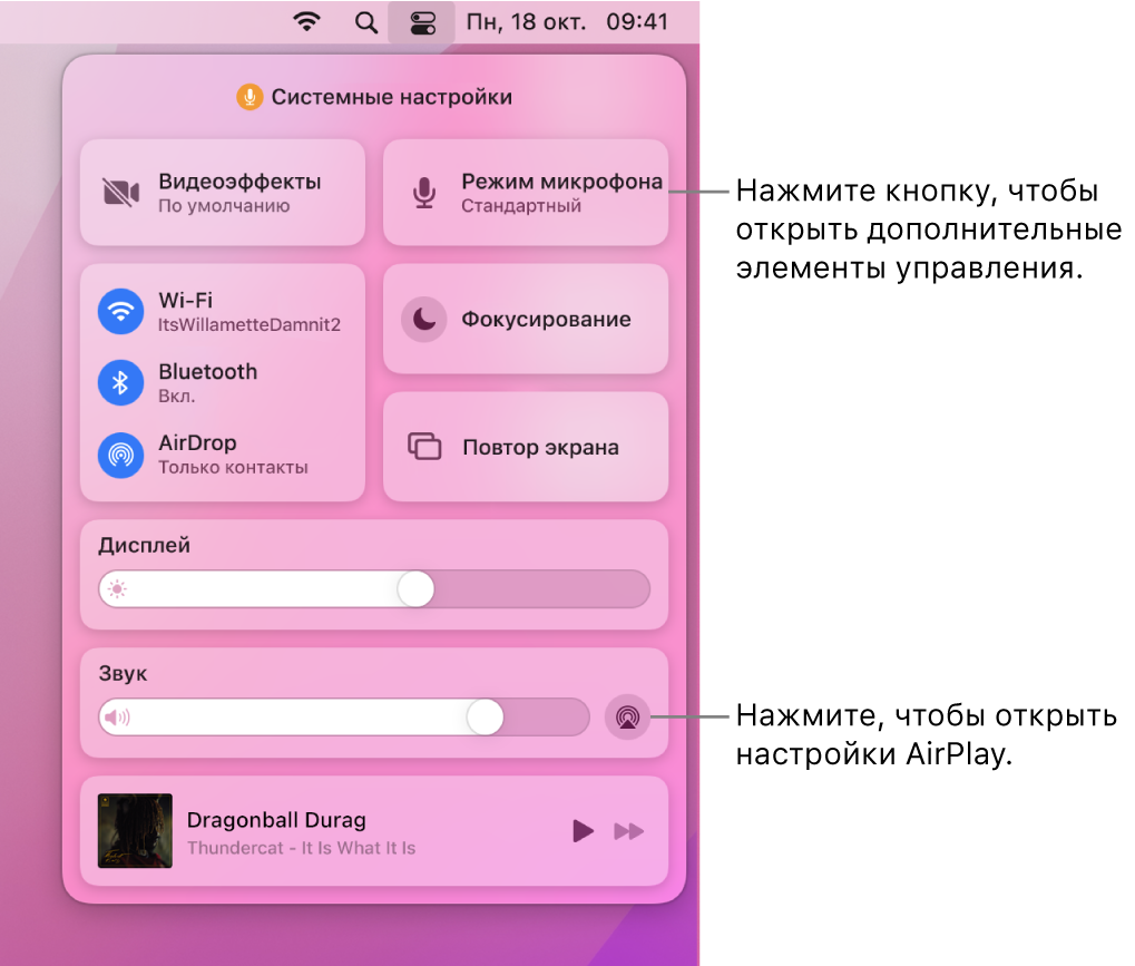 Увеличенное изображение Пункта управления на Mac.