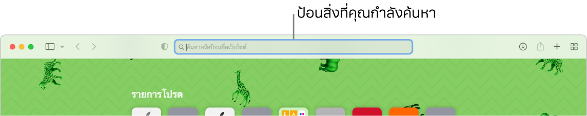 หน้าต่าง Safari ที่ถูกครอบตัดซึ่งมีช่องค้นหาที่ด้านบนสุดของหน้าต่าง