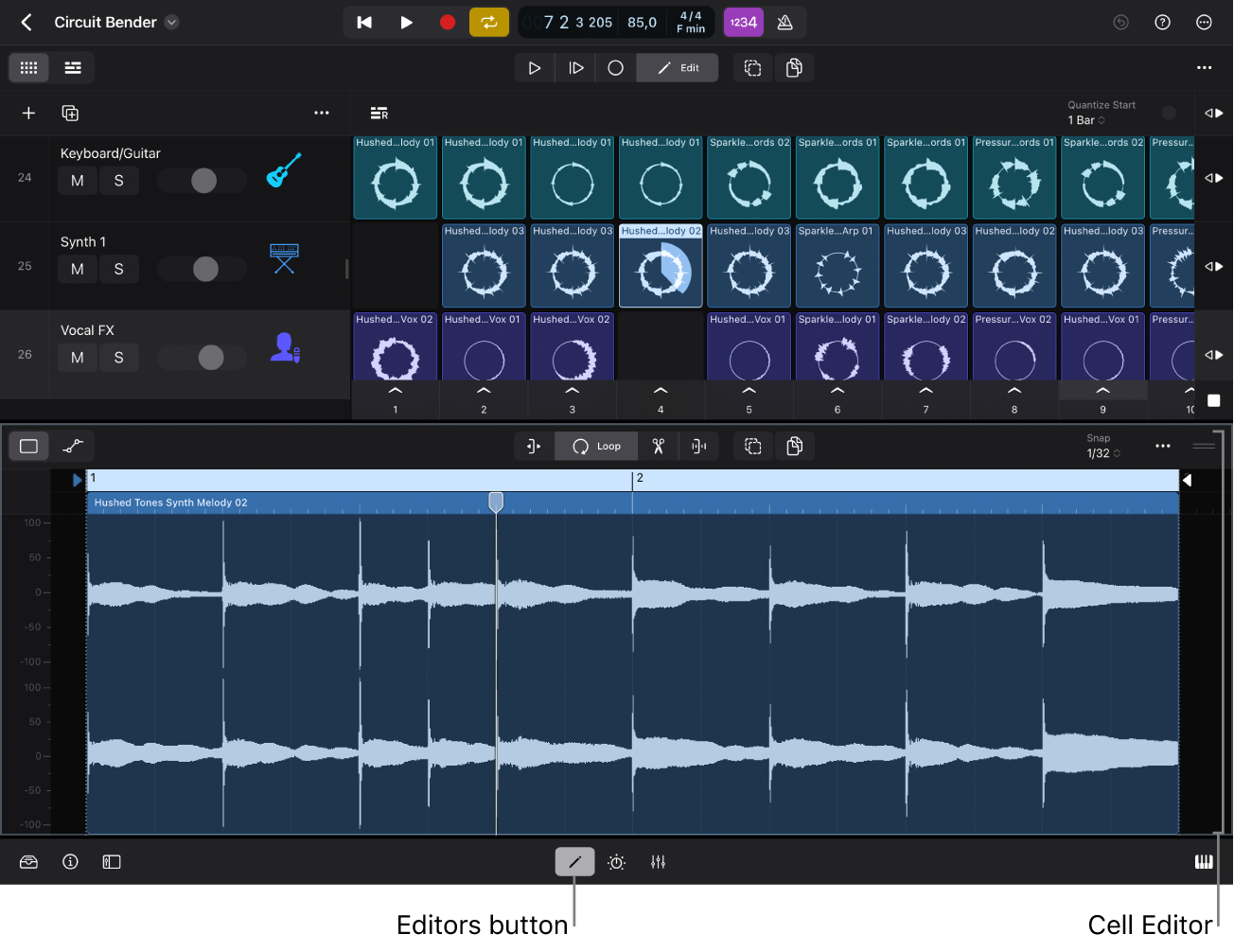 Figure. Cell Editor showing the audio waveform for the selected cell.