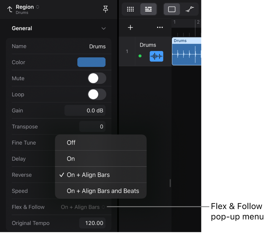 Figure. Region inspector showing the Flex & Follow popup-menu in the Region inspector.