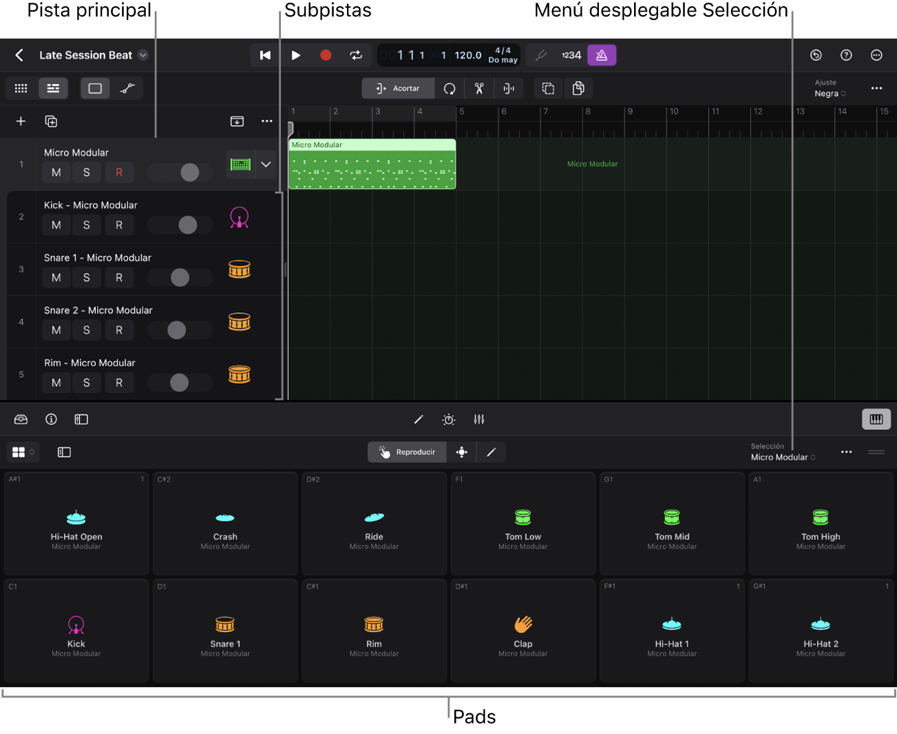 Un Track Stack expandido y la superficie de interpretación de Drum Machine Designer.