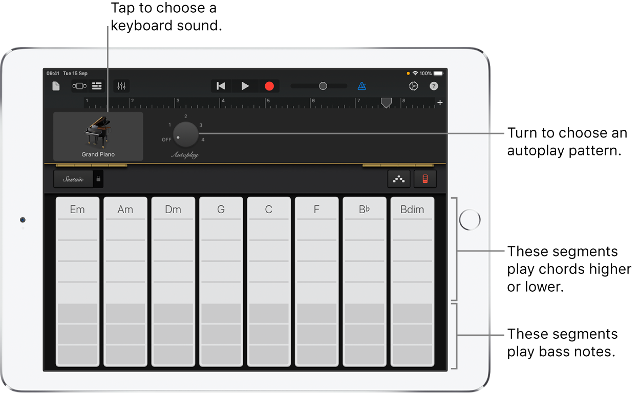 Keyboard chord strips