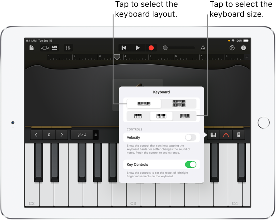 Keyboard layout and size controls