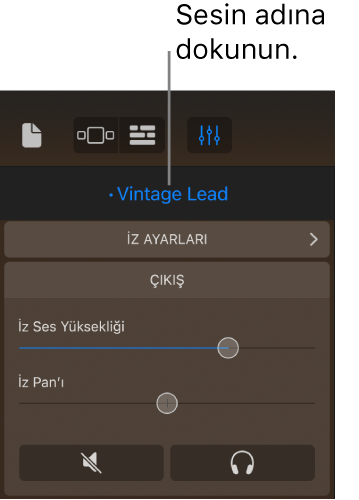 Resim. İz denetimlerinin üst tarafında şu anki sesin adı,