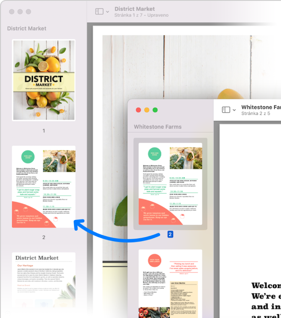 Přetáhněte miniaturu zkopírovanou z jednoho PDF souboru na boční panel jiného.