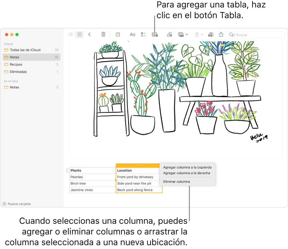 La ventana de Notas mostrando el botón Tabla que sirve para agregar una tabla. Dentro del contenido de la nota, se selecciona una columna de la tabla para poder agregar o eliminar columnas, o arrastrar una columna a otra ubicación.