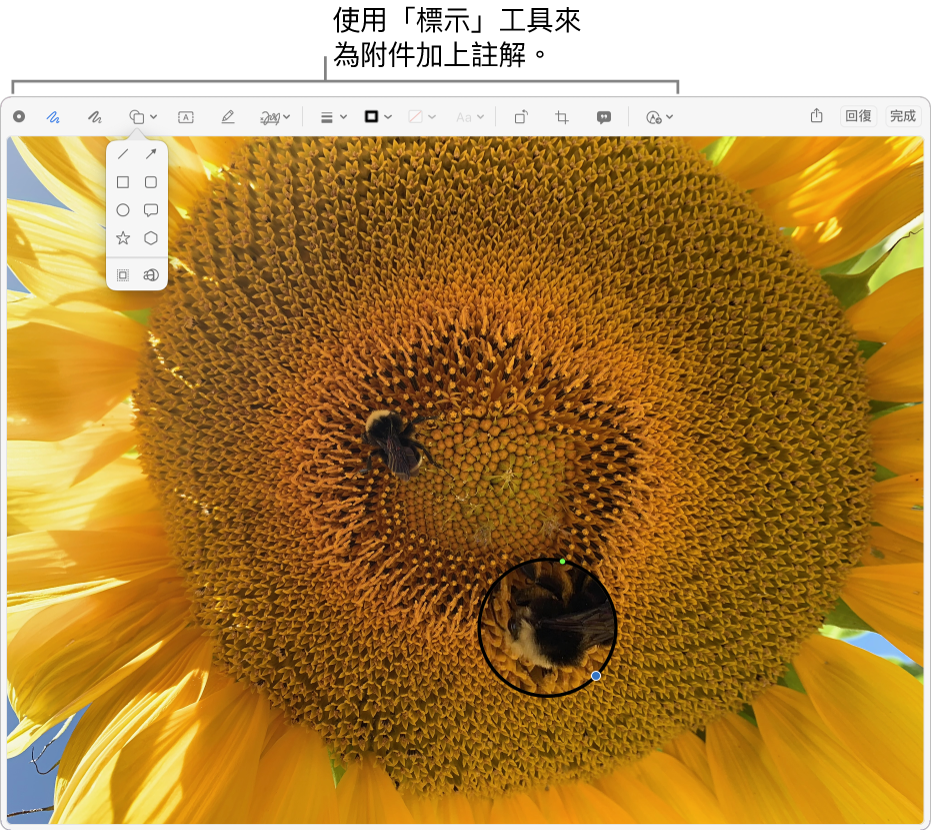 附件的最上方有「標示」工具列。