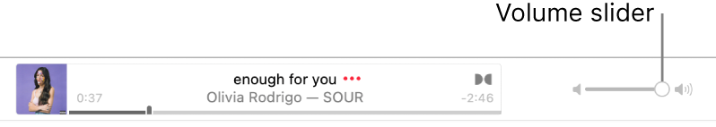 The volume slider.