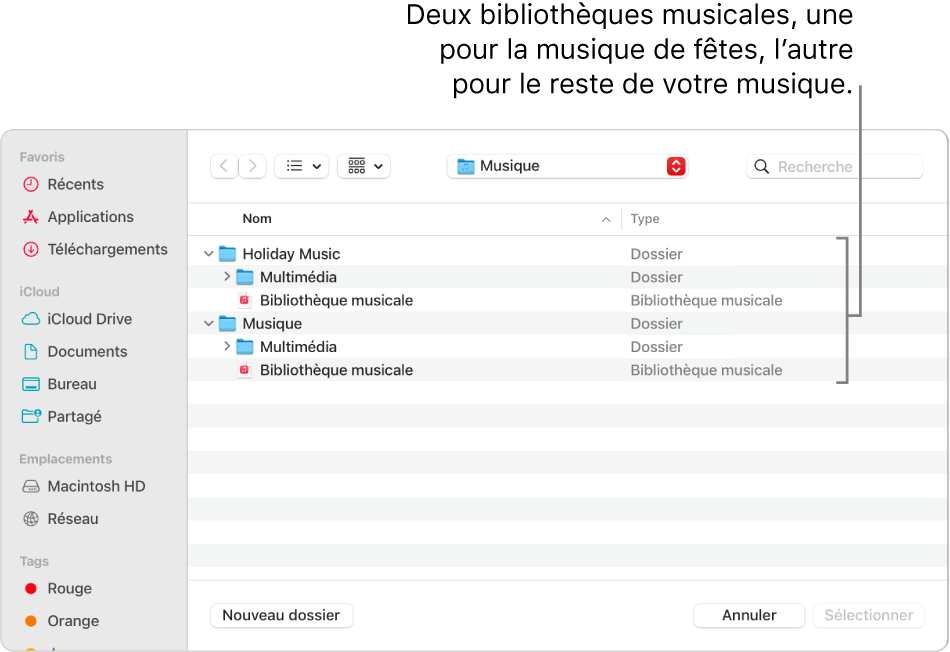 La fenêtre Finder montrant plusieurs bibliothèques : une pour la musique de Noël et l’autre pour le reste de votre musique.
