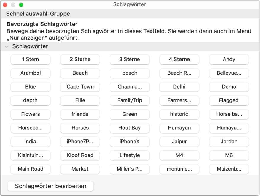 Schlagwörter im Fenster „Schlagwortmanager“, der Bereich „Schnellauswahl-Gruppe“ befindet sich oben und die Taste „Schlagwörter bearbeiten“ unten links.