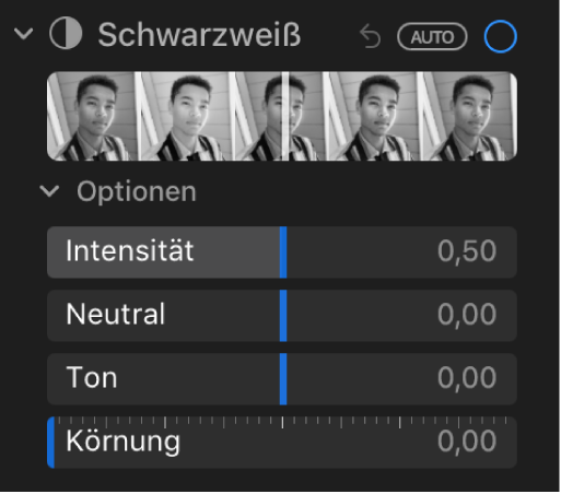 Die im Bereich „Anpassen“ unter „Schwarzweiß“ angezeigten Regler sind: Intensität, Neutral, Ton und Körnung.