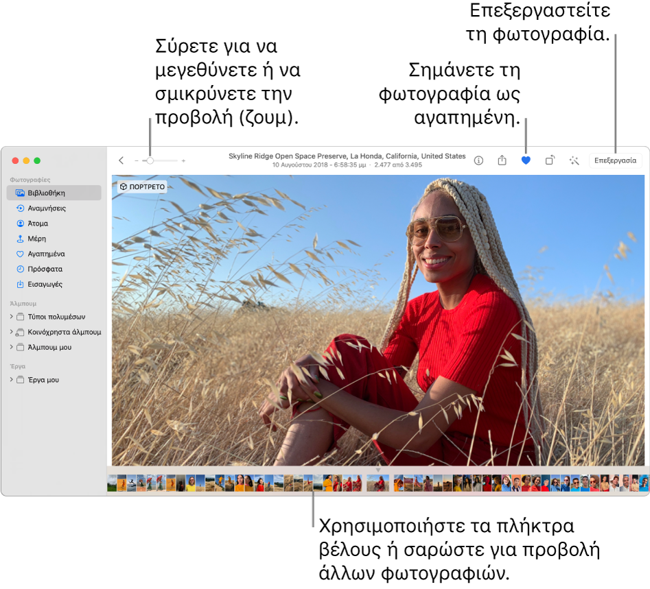 Το παράθυρο των Φωτογραφιών, στο οποίο εμφανίζεται μια μεγεθυμένη φωτογραφία στα δεξιά με μια σειρά μικρογραφιών από κάτω. Η γραμμή εργαλείων στο πάνω μέρος περιλαμβάνει το ρυθμιστικό Ζουμ, το κουμπί «Αγαπημένο» και το κουμπί «Επεξεργασία».