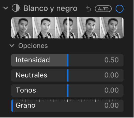 El área “Blanco y negro” del panel Ajustar mostrando los reguladores de Intensidad, Neutrales, Tono y Grano.