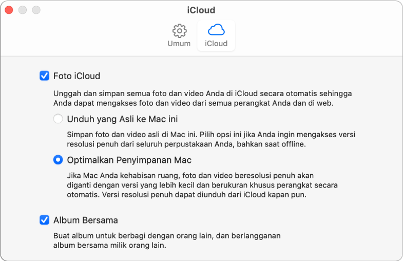 Panel iCloud pada preferensi Foto.