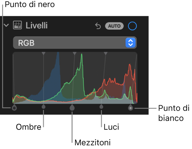 I controlli di Livelli nel pannello Regola, che mostrano l'istogramma RGB con le maniglie al di sotto, con (da sinistra a destra) il punto di nero, le ombre, i mezzitoni, i punti di luce e il punto di bianco.