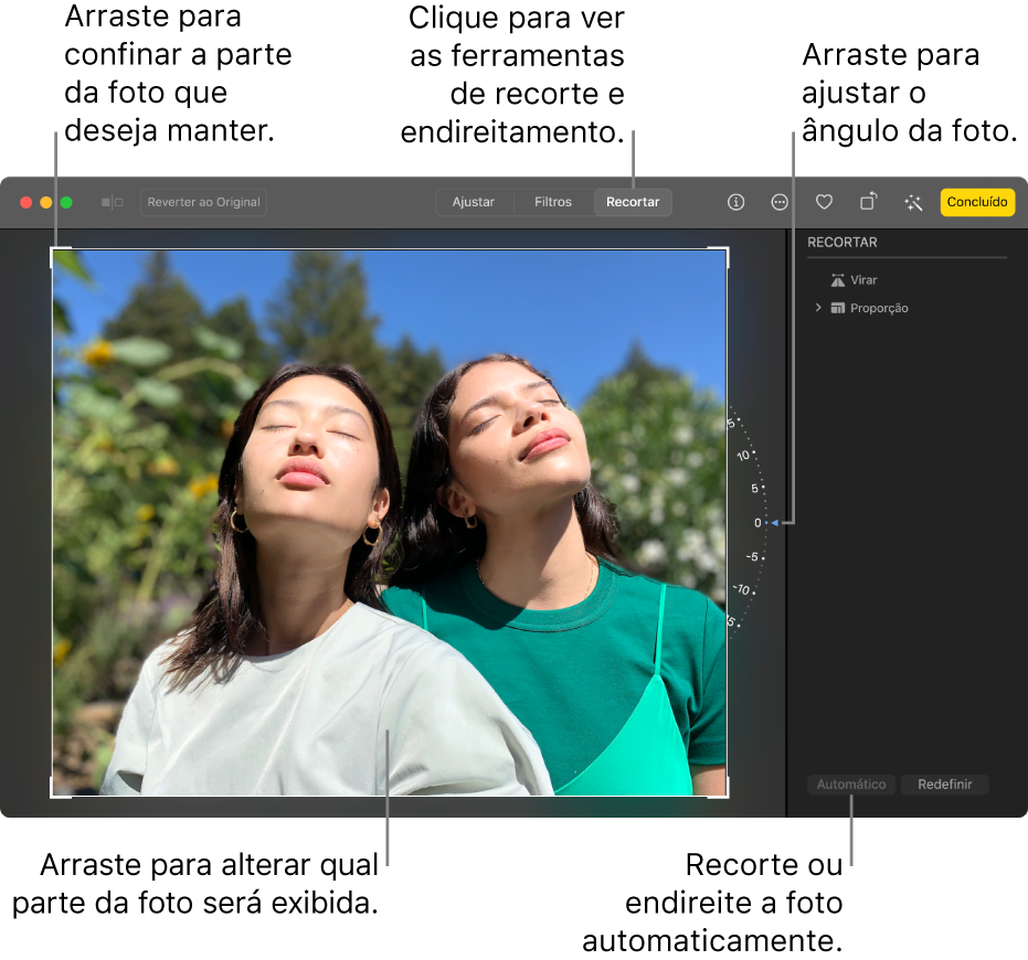 Foto na visualização de edição, com Recortar selecionado na barra de ferramentas, um retângulo de seleção ao redor da foto, uma roda giratória à direita da foto e o botão Auto na parte inferior direita.