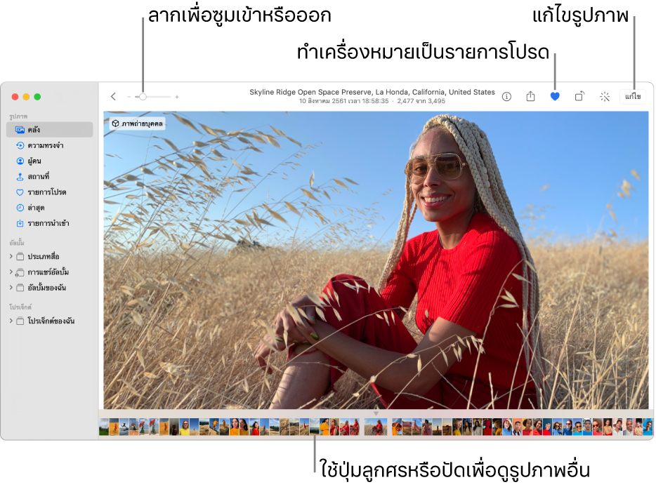 หน้าต่างรูปภาพที่แสดงรูปภาพที่ขยายใหญ่ทางด้านขวาโดยมีแถวของรูปย่ออยู่ด้านล่าง แถบเครื่องมือที่ด้านบนสุดประกอบด้วยแถบเลื่อนการซูม ปุ่มรายการโปรด และปุ่มแก้ไข