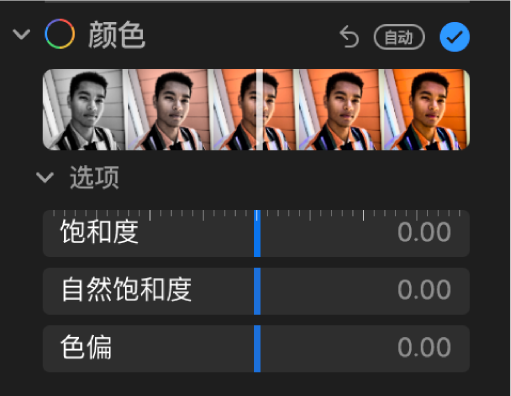 “调整”面板的“颜色”区域显示“饱和度”、“自然饱和度”和“色偏”滑块。
