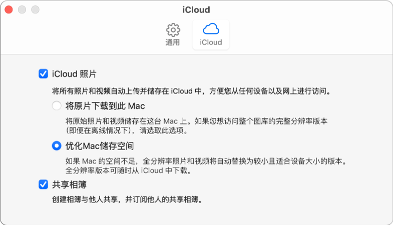 “照片”偏好设置的 iCloud 面板。