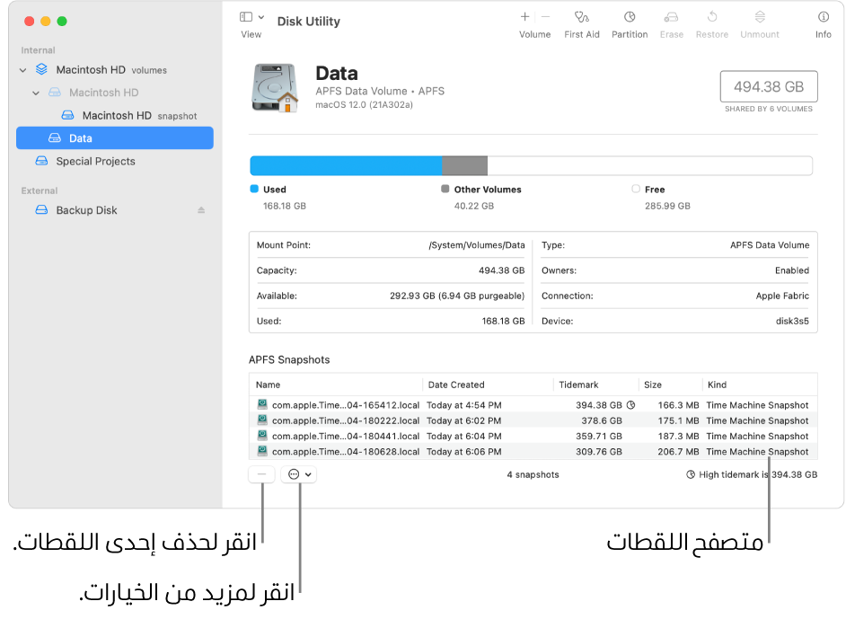 نافذة أداة القرص تظهر متصفح اللقطات السريعة.