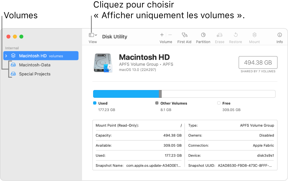 Une fenêtre Utilitaire de disque en présentation « Afficher uniquement les volumes ».