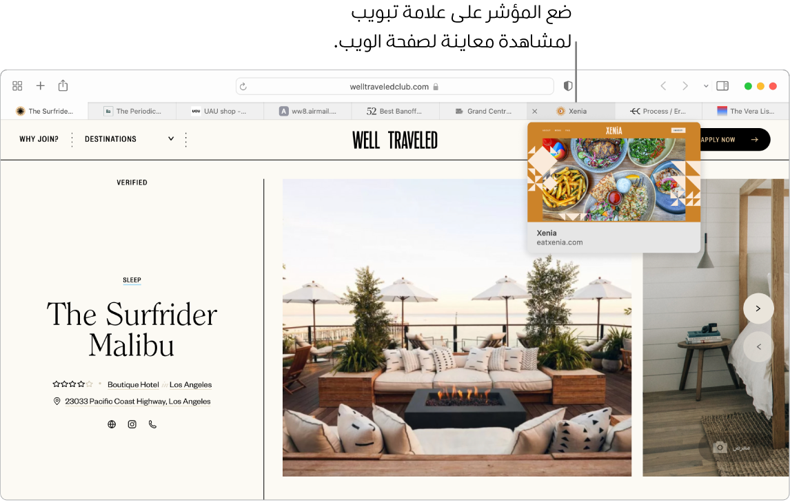 نافذة Safari بها صفحة ويب نشطة بعنوان "Well Traveled"، بالإضافة إلى ٩ علامات تبويب إضافية، ووسيلة شرح لمعاينة علامة التبويب "Xenia" يظهر بها النص "ضع المؤشر فوق علامة تبويب لمشاهدة معاينة لصفحة الويب".