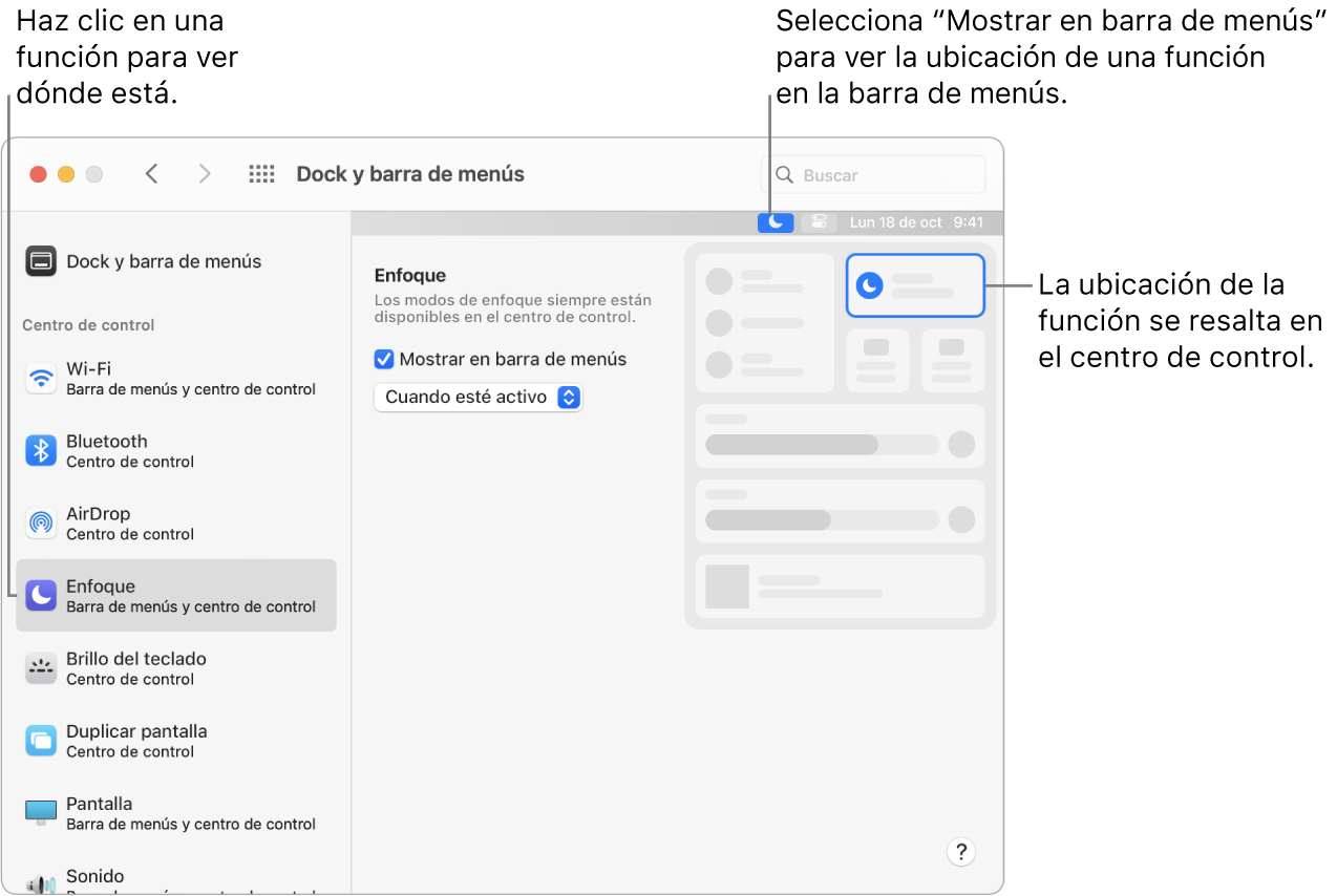 Ventana del panel de preferencias Dock y barra de menús con un texto que indica la opción Enfoque y las configuraciones opcionales y los resultados de la función.