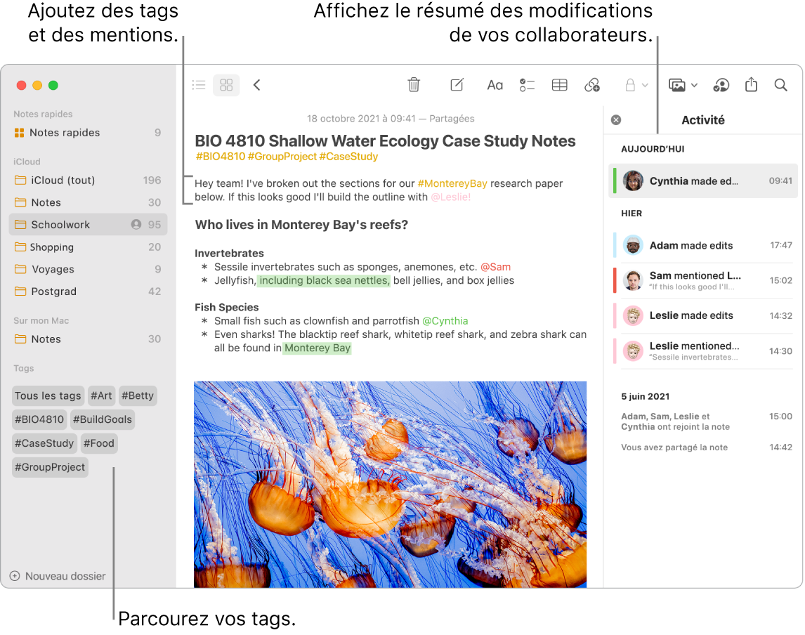 Une fenêtre Notes en présentation par galerie avec une légende pour les tags dans la barre latérale. Dans la note principale se trouve une légende pour un tag et une mention. Une liste d’activité apparaît sur la droite avec une légende pour afficher un résumé des mises à jour.
