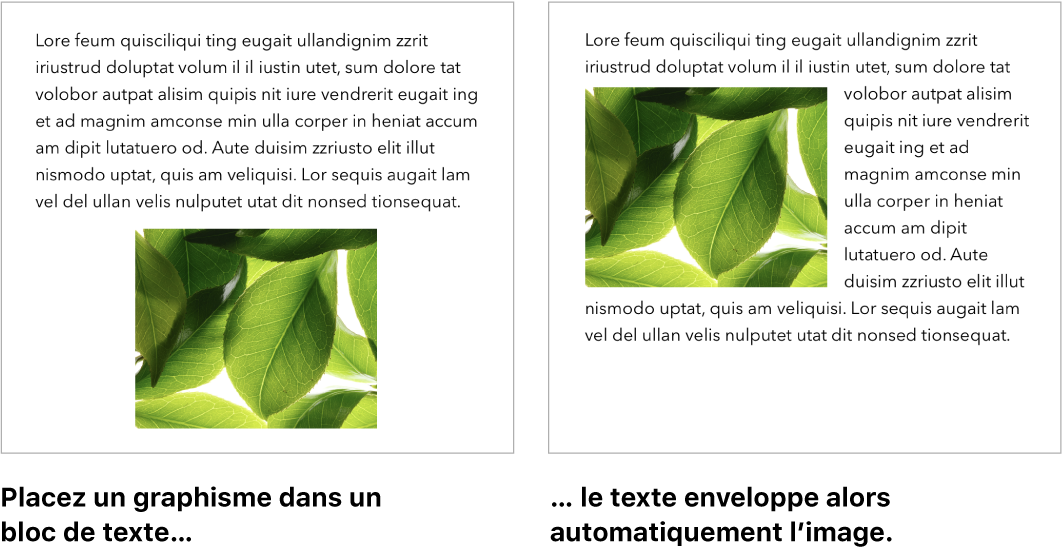 Fenêtre de Pages montrant du texte enveloppant des éléments graphiques.