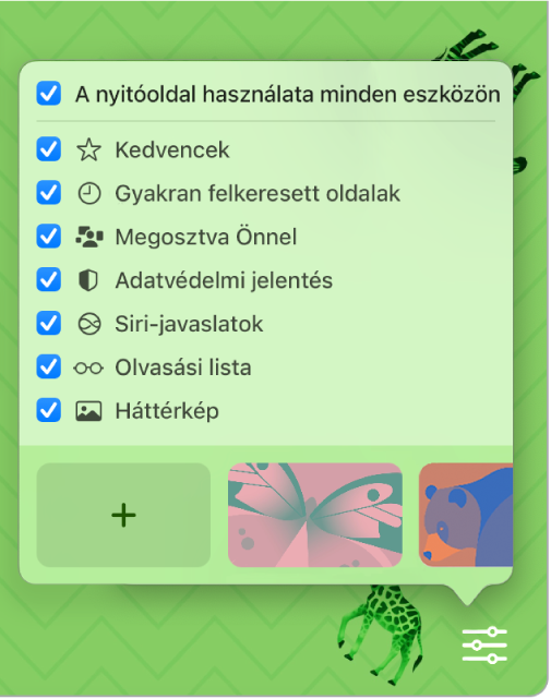 A Safari testreszabása előugró menü a Kedvencek, a Gyakran felkeresett oldalak, az Adatvédelmi jelentés, a Siri-javaslatok, az Olvasási listák és a Háttérkép beállítások jelölőnégyzeteivel.