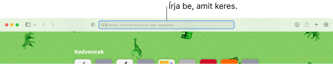 Egy levágott Safari ablak a keresőmező ábrafeliratával az ablak tetején.