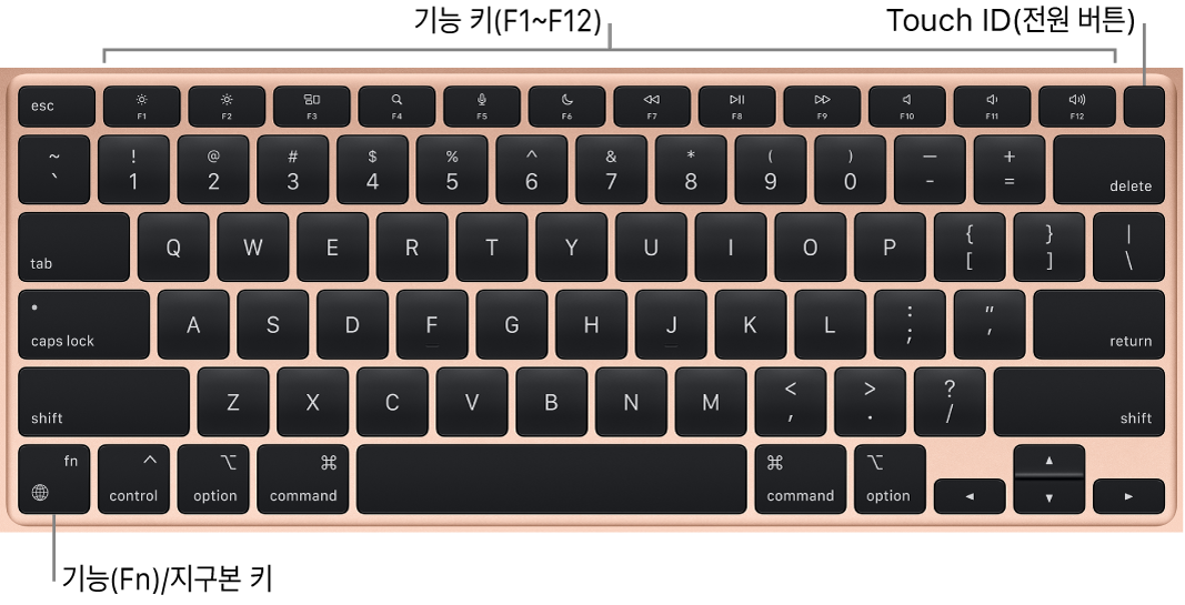 상단 전체에 있는 기능 키와 Touch ID 전원 버튼 및 키보드의 왼쪽 하단 모서리에 있는 Fn(기능) 키를 보여주는 MacBook Air 키보드.