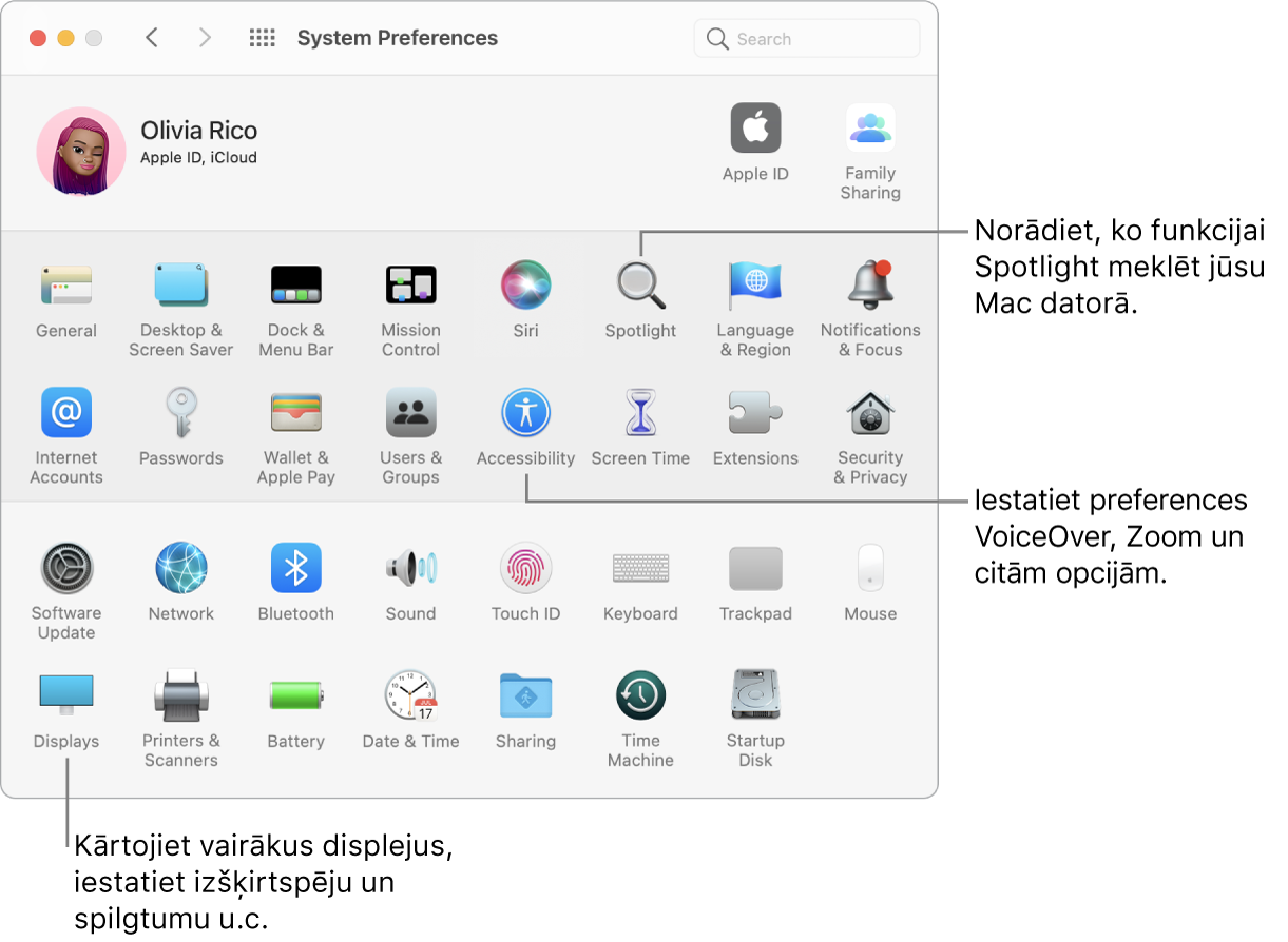 Logs System Preferences ar remarkām pie Spotlight, Accessibility un Displays preferencēm.